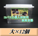 　　　コバエの侵入抑制用飼育容器 大 12個 ◆商品説明など◆ 細かいスリット状の通気孔によって、コバエの侵入を抑制し、適度な湿度を保ちます。積み重ねても通気が確保でき、蓋の上部の周りに囲いがあるので積み重ねしやすくなっています。蓋は、そのまま丸洗いができるので、お手入れも簡単です。 ☆セパレート（別売）は、好きな場所で仕切ることが出来るのでとても便利です。 ☆コバエガード（別売）を使用することで、さらにコバエを遮断することが出来ます。通気性の良いスポンジを使用しているので、小さな通気孔でコバエが入らない飼育ケースでもしっかり通気ができるようになっています。飼育ケースの湿度を調整しながら使い分けるのも便利です。 割れにくい日本製の飼育ケースで、さらにこの機能！！そしてこの超激安価格ですので一番のお勧め飼育ケースとなります！！！ ◆商品サイズ・重量など◆ サイズ: D220×W370×H250mm