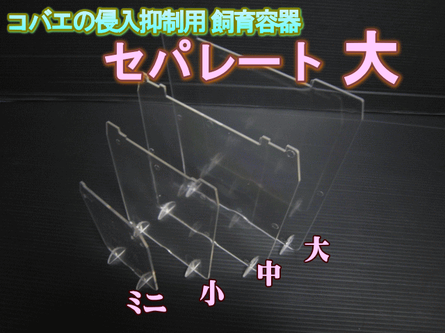 在庫限り超特価！コバエの侵入抑制用飼育容器 大　セパレート（仕切り）　1枚