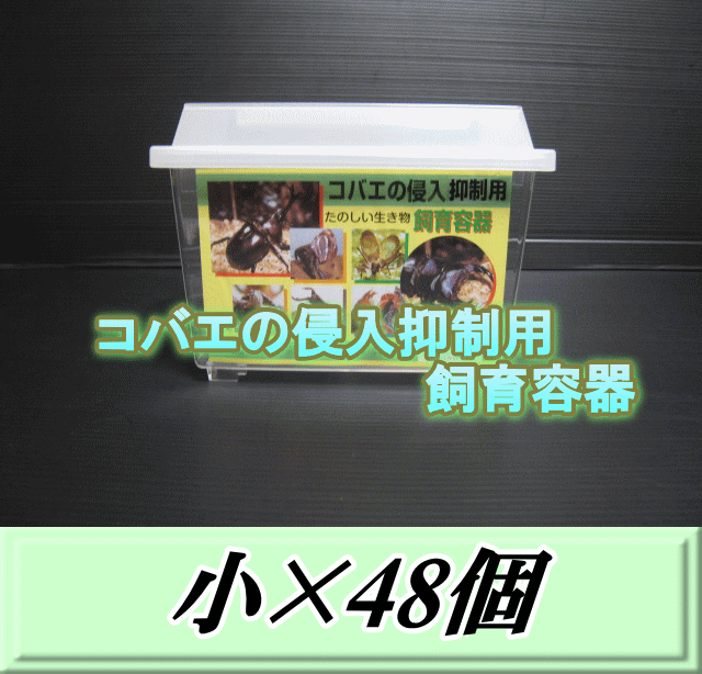 レビューをお願い致します◆送料無料！コバエの侵入抑制用飼育容器 小 48個