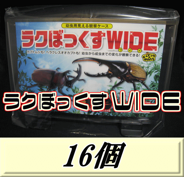 レビューをお願い致します◆送料無料！見える観察ケース ラクぼっくす WIDE ワイド （ヘラクレスオオカブト用)　16個