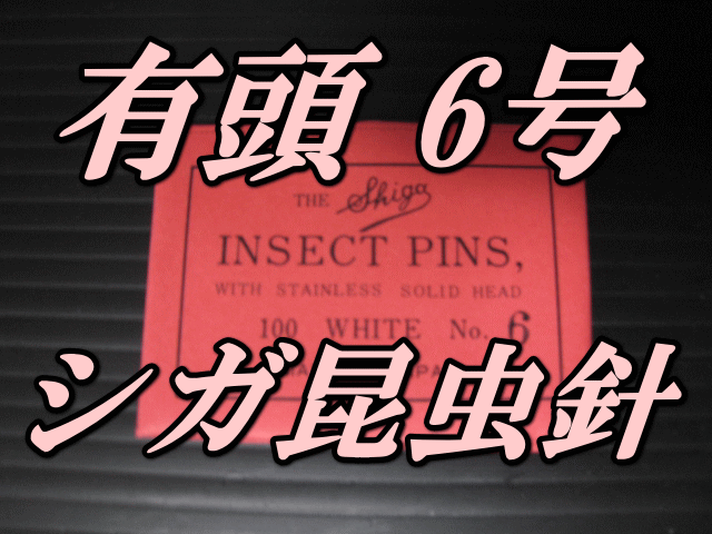 有頭シガ昆虫針　6号　標本針（最上質ステンレス製）　1包（100本入）のサムネイル