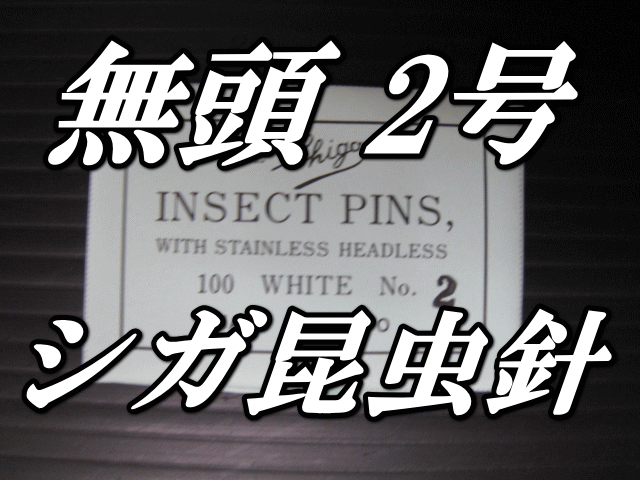 無頭シガ昆虫針　2号　標本針（最上質ステンレス製）　1包（100本入）のサムネイル