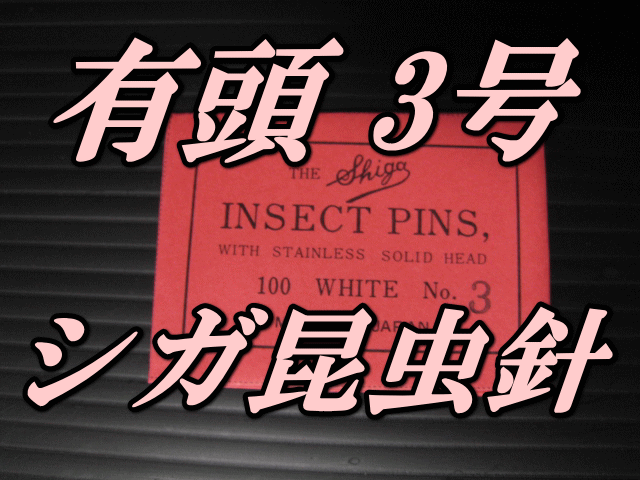 有頭シガ昆虫針　3号　標本針（最上質ステンレス製）　1包（100本入）