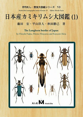 レビューをお願い致します◆送料無料!【新品】日本...の商品画像