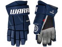 WARRIOR/ウォリアー RISE シニア 【アイスホッケーグローブ】 2024-2025
