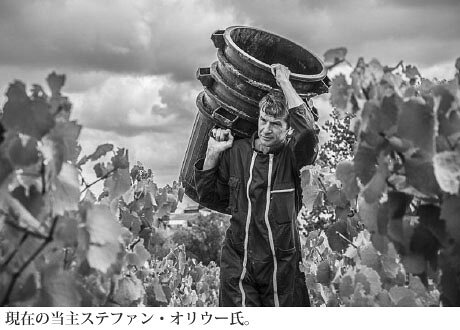 【フランス】【自然派】 白ワイン ミュスカデ・セーブル・エ・メーヌ・シュール・リー ラ・ブルジョネット ステファン・オリウー 2024年 AOP 750ml【2本〜送料無料】　ロワール　辛口 ギフト masterwineshinbashi-10000018 マスターワイン新橋 サンプル画像3