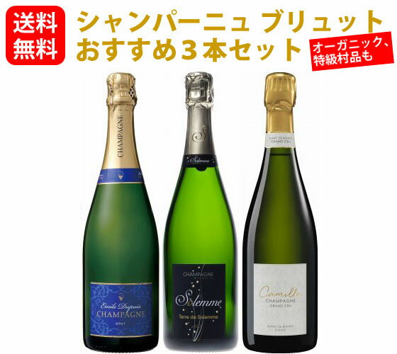 【フランス】　シャンパーニュ　ブリュットおすすめ3本セット（750mlx3） オーガニック　グランクリュ 入り　スパークリングワイン　セット　辛口　飲み比べ　プレゼント　送料無料