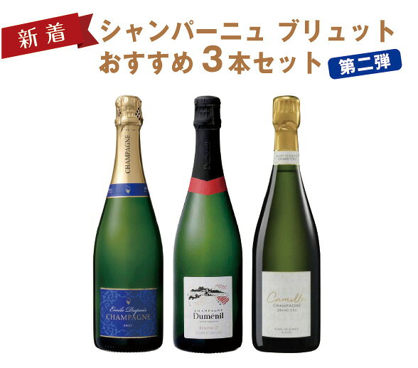 【1本当たり8,104円】シャンパーニュ　ブリュットおすすめ3本セット第二弾（750mlx3）フランス　 　グランクリュ 入り　スパークリングワイン　セット　辛口　飲み比べ　プレゼント　送料無料 masterwineshinbashi-10000130 マスターワイン新橋 パッケージ画像