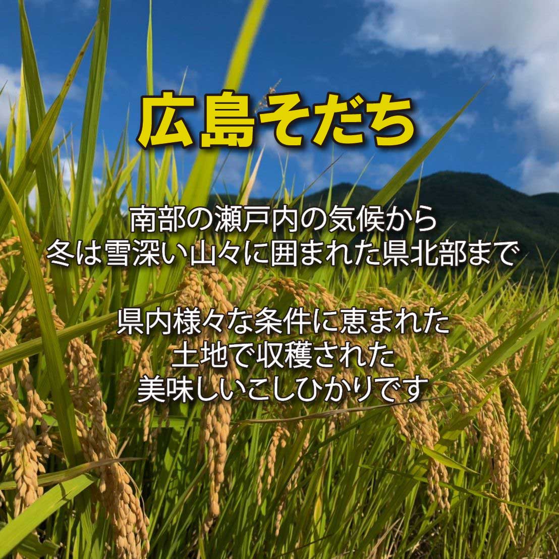 令和7年産 広島県産 コシヒカリ 10kg （5kg×2袋）白米 送料無料 単一原料米 【北海...