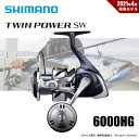 シマノ 21 ツインパワーSW 6000HG 送料無料