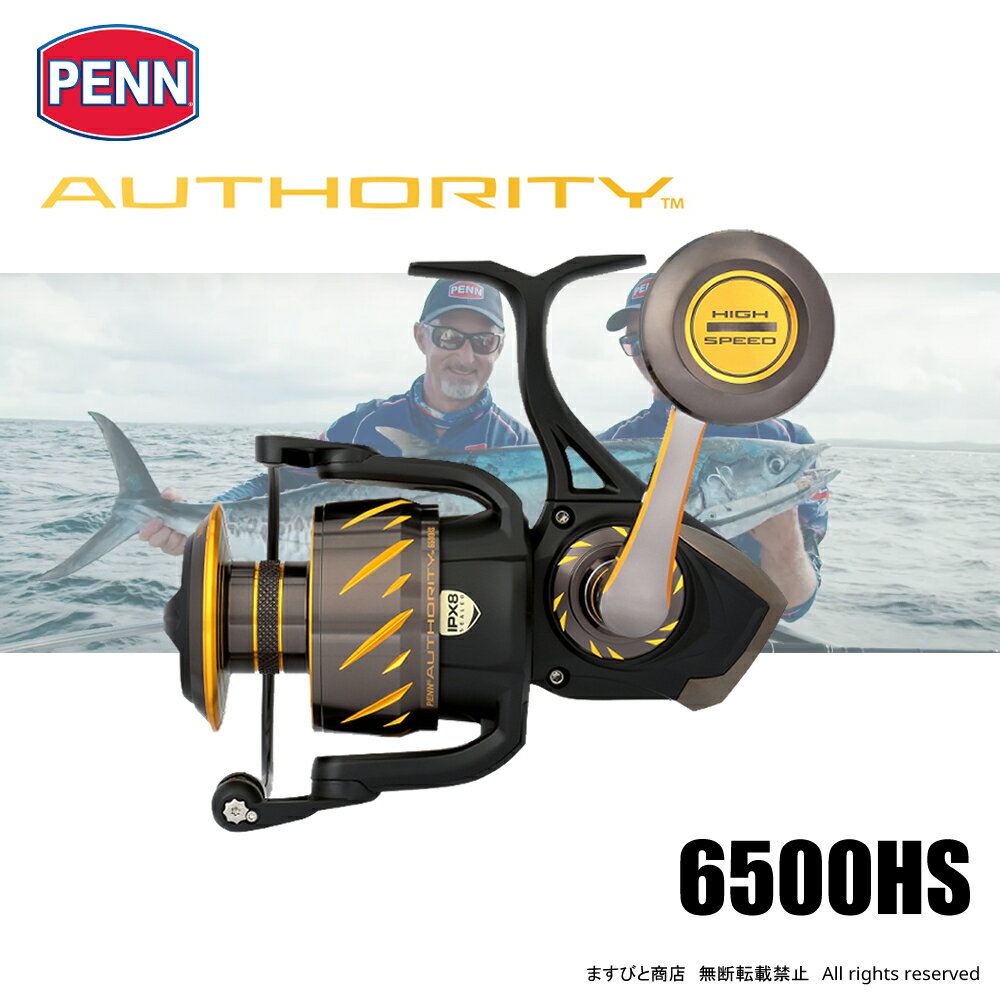 ペン オーソリティー 6500HS 送料無料