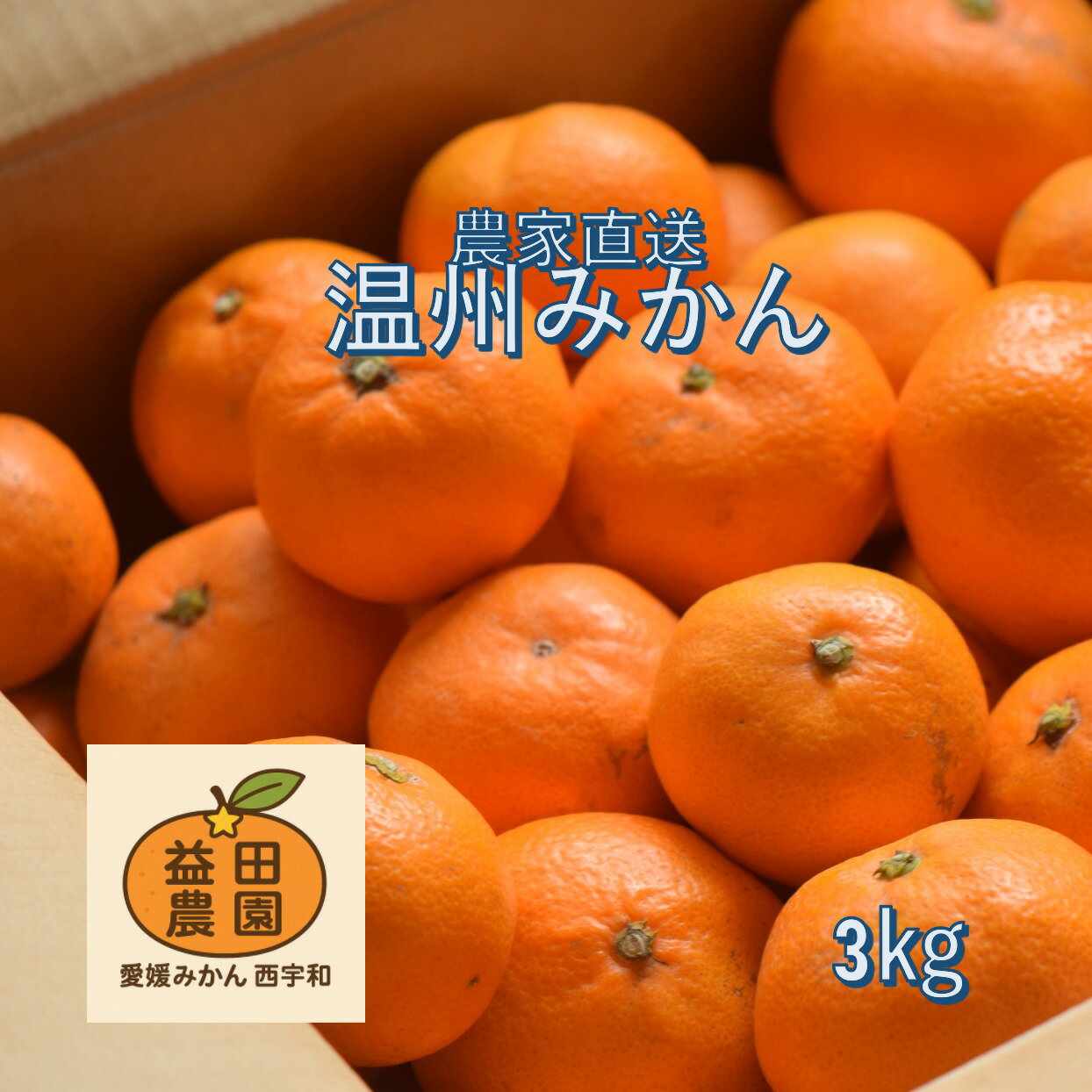益田農園直送みかん内容量3.0kg愛媛産訳ありみかん不揃い傷汚れ有カラ...(4)