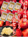稲庭うどん 職人が作る かりんとう かおる林檎6袋セット