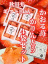 稲庭うどん 職人が作る かりんとう かおる苺4袋 秋田弁 ギフトBOX 入り