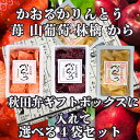 送料無料 秋田弁BOXで送る 選べる 稲庭うどん 職人が作る かりんとう かおる林檎 かおる山葡萄 かおる苺 3種4袋セット