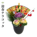 2026 迎春テラコッタ ミニ門松 陶器鉢 葉牡丹 ハボタン はぼたん お正月寄せ お正月飾り 迎春 お正月 午 冬 季節 ギフト プレゼント 新年 縁起物 和...