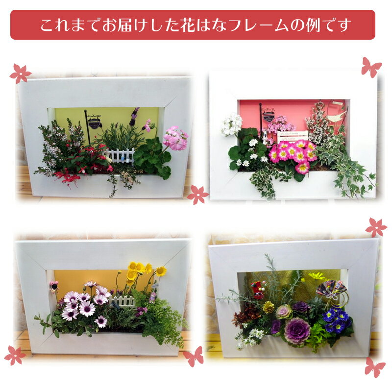 国産 送料無料 花はなフレーム寄せ植え 600型 季節のおまかせセット ギフト プレゼント 誕生日 記念日 お祝い 引越し祝い 開店祝い 新築祝い お礼 メッセージカード 通販限定 Www Declicgestion Fr 国産 送料無料 花はなフレーム寄せ植え 600型 季節のおまかせセット ギフト プレゼント 誕生日 記念日 お祝い 引越し祝い 開店祝い 新築祝い お礼 メッセージカード 通販限定 Www Declicgestion Fr