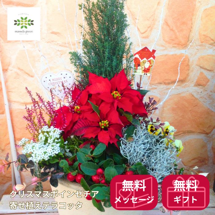 クリスマス ポインセチア 寄せ植え テラコッタ 送料無料 高級感 フラワーアレンジメント 贈りもの フラ..