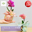【お買い物マラソン期間 ポイント10倍】 ミニ胡蝶蘭 yukata de 胡蝶蘭 1本立ち ピンク 3号鉢 送料無料 プレゼント ギフト コチョウラン こちょうらん 手のひら マイクロ
