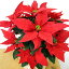 【送料無料】【クリスマスの花】ポインセチア 鉢植え 赤系 5号 クリスマス プレゼント 花 冬の花 フラワーギフト 花ギフト クリスマスパーティー ポインセチア 鉢植え クリスマスギフト 贈り物 ポイント2倍 ギフト 誕生日 記念日 お祝い引越し祝い 開店祝い 新築祝い