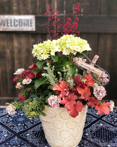 コンテナガーデン寄せ植え季節のおまかせテラコッタ