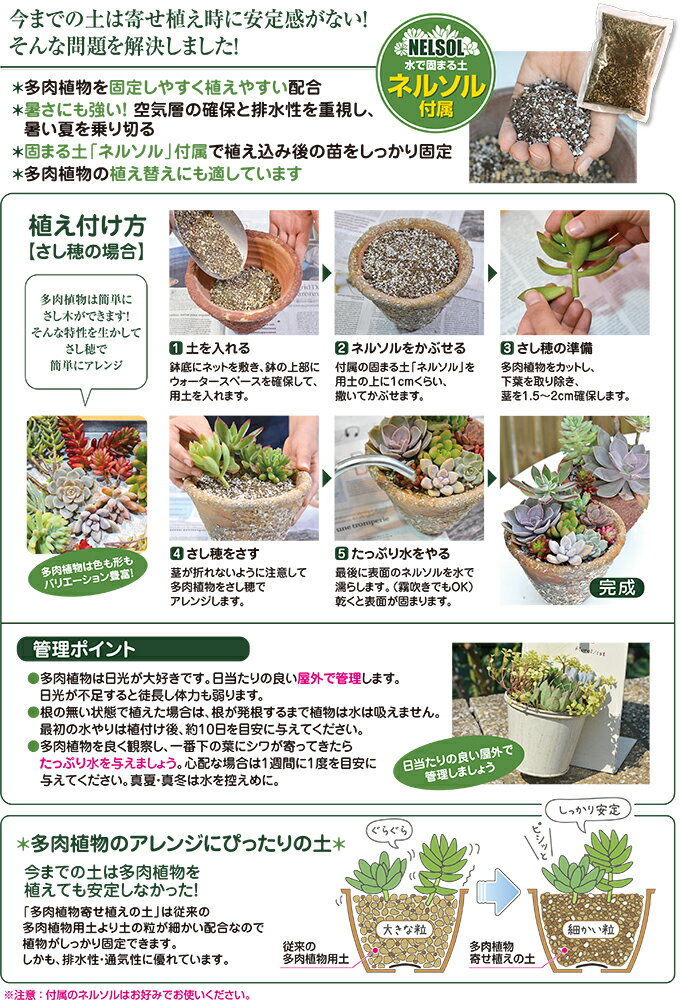 多肉植物寄せ植えの土 1.5L 花ごころ 細かい 水で固まる土 固定できる土 多肉植物...