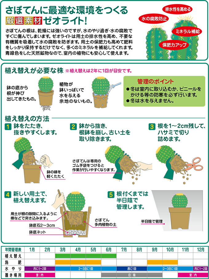 【 さぼてん 多肉植物の土 （ 細粒 2L ）】 花ごころ 細かい 水の腐敗を防止 排水性 水はけ良い 根が傷まない 長持ち ゼオライト サボテン 室内 市販 土 鉢植え 植え替え 園芸 ガーデニング 土日祝営業