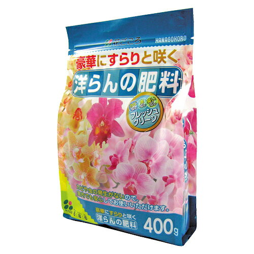 【 洋らんの肥料 400g 】花ごころ 洋らん 洋蘭 胡蝶蘭 肥料 水はけ 有機 開花 通販 花苗 苗 鉢 鉢植え 植え替え 開花株 種 庭 ガーデニング 園芸 おすすめ 初心者 土日祝営業