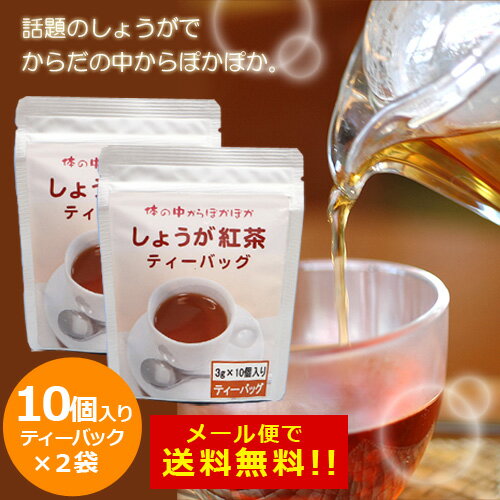 【メール便で送料無料】しょうが紅茶ティーバック　2袋（1袋3g×10p）