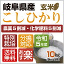 新米！【令和5年産】【本州・四国　送料無料】選べる分搗きこだわり栽培【精米無料】2023年産　岐阜県産特別栽培米　こしひかり玄米　10kg [5kg×2袋]【楽ギフ_のし】【あす楽_土曜営業】 2