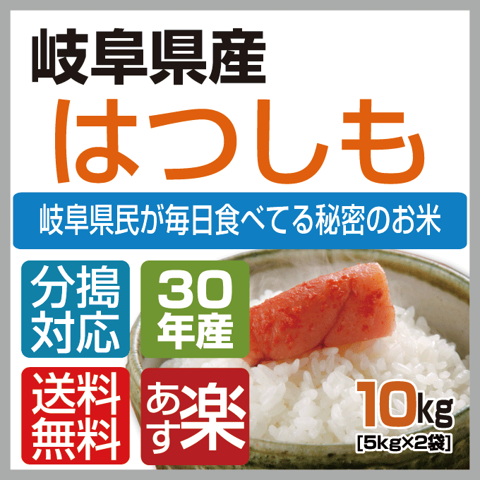 【新米】30年【本州・四国　送料無料】30年産　岐阜県産れんげの里のお米 美濃 ハツシモ 白米　10kg　[5kg×2袋]選べる分搗き