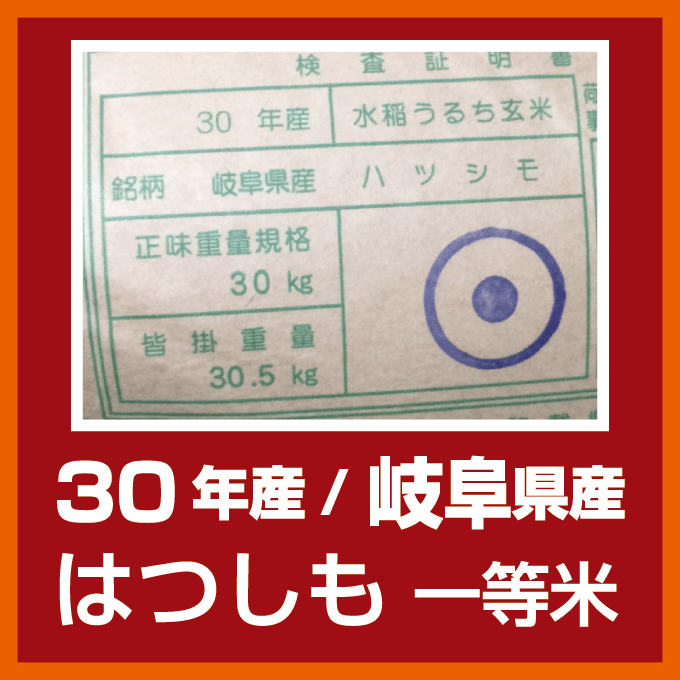 【新米】30年【本州・四国　送料無料】30年産　岐阜県産れんげの里のお米 美濃 ハツシモ 白米　10kg　[5kg×2袋]選べる分搗き