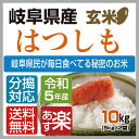 新米！【令和5年産】　【本州・四国 送料無料】2023年産　岐阜県産れんげの里のお米 美濃 ハツシモ 玄米　10kg　[5kg×2袋]選べる分搗き【楽ギフ_のし】【あす楽_土曜営業】