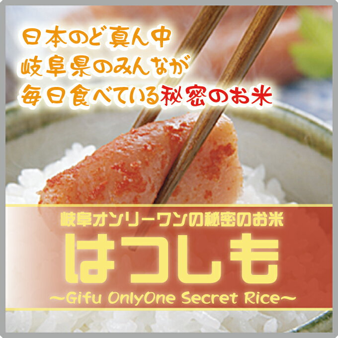 【新米】30年産【本州・四国　送料無料】30年産　岐阜県産れんげの里のお米 美濃 ハツシモ 白米　5kg　[5kg×1袋]選べる分搗き【楽ギフ_のし】