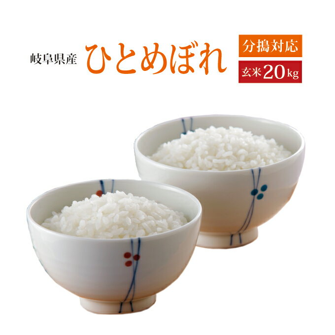 【新米】【令和5年産】【2023年産】【本州・四国送料無料】岐阜県産 ひとめぼれ選べる分搗き玄米 20kg [5kg 4袋]【楽ギフ_のし】【あす楽_土曜営業】