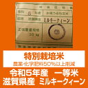 【令和5年産】【特別栽培米】【本州・四国　送料無料】滋賀県認証環境こだわり米【2023年産】滋賀県産特別栽培米ミルキークィーン玄米　20kg [5kg×4袋]選べる分搗き【あす楽_土曜営業】 3