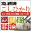 新米！令和5年産土づくりこだわり栽培【メルヘン米】【本州・四国　送料無料】2023年産・メルヘン米富山県産コシヒカリ 白米5kg　〔5kg×1袋〕【精米無料】選べる分搗き【あす楽_土曜営業】