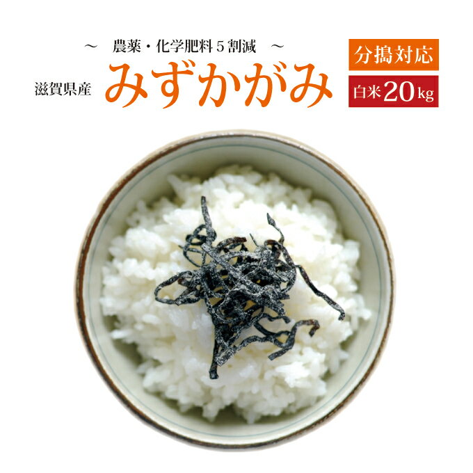 【令和5年産】【特別栽培米】【本州・四国　送料無料】滋賀県認証環境こだわり米【2023年産】滋賀県産特別栽培米みずかがみ白米　20kg [5kg×4袋]選べる分搗き【あす楽_土曜営業】