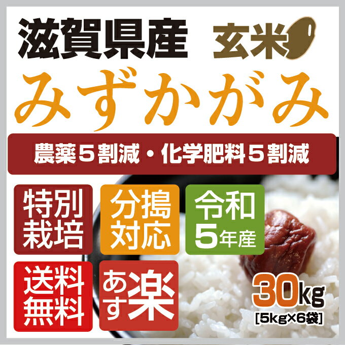 【令和5年産】【特別栽培米】【本州・四国 送料...の紹介画像2