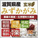 【令和5年産】【特別栽培米】【本州・四国　送料無料】滋賀県認証環境こだわり米【2023年産】滋賀県産特別栽培米みずかがみ玄米　30kg [5kg×6袋]選べる分搗き【あす楽_土曜営業】 2