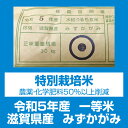 【令和5年産】【特別栽培米】【本州・四国　送料無料】滋賀県認証環境こだわり米【2023年産】滋賀県産特別栽培米みずかがみ玄米　30kg [5kg×6袋]選べる分搗き【あす楽_土曜営業】 3