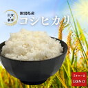 【新米】10kg 令和5年産