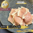 食肉センター直送 数量限定 希少 近江牛 大腸 シマチョウ 合計 600g 300g×2p ギフト 小分け ホルモン しまちょう もつ モツ もつ鍋 モツ鍋 国...