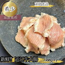 食肉センター直送 数量限定 希少 新鮮 近江牛ホルモン 大腸 300g ホルモン もつ モツ もつ鍋 モツ鍋 ほるもん 牛 ホルモン焼き 国産 バーベキュー 近...