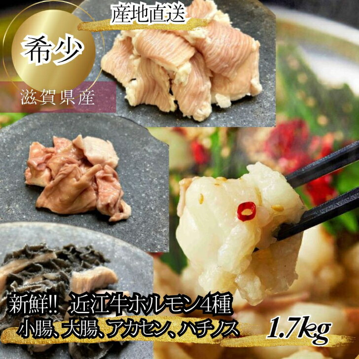 食肉センター直送 数量限定 希少 近江牛 小腸 大腸 アカセン ハチノス 合計1.7kg 小分け ホルモンセット もつ ホルモン 和牛ホルモン もつ鍋 モツ鍋 焼肉ホルモン モツ 焼肉 高級 ほるもん ギアラ 小腸 シマチョウ はちのす ミックスホルモン ホルモン焼き プロトン冷凍