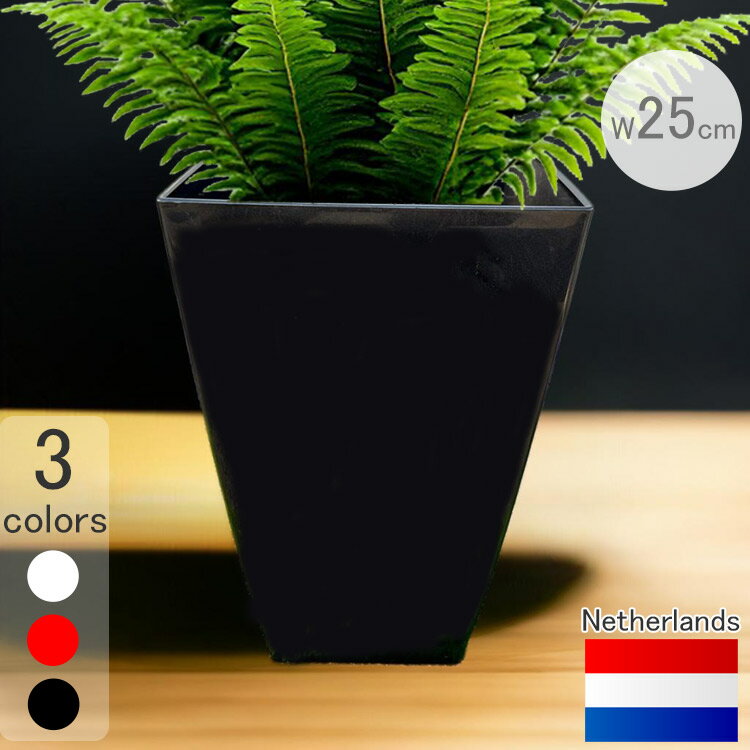 ǥץ󥿡 ߥ-E  ֥å 25cm H47cm 8  ڤ   ȭ...