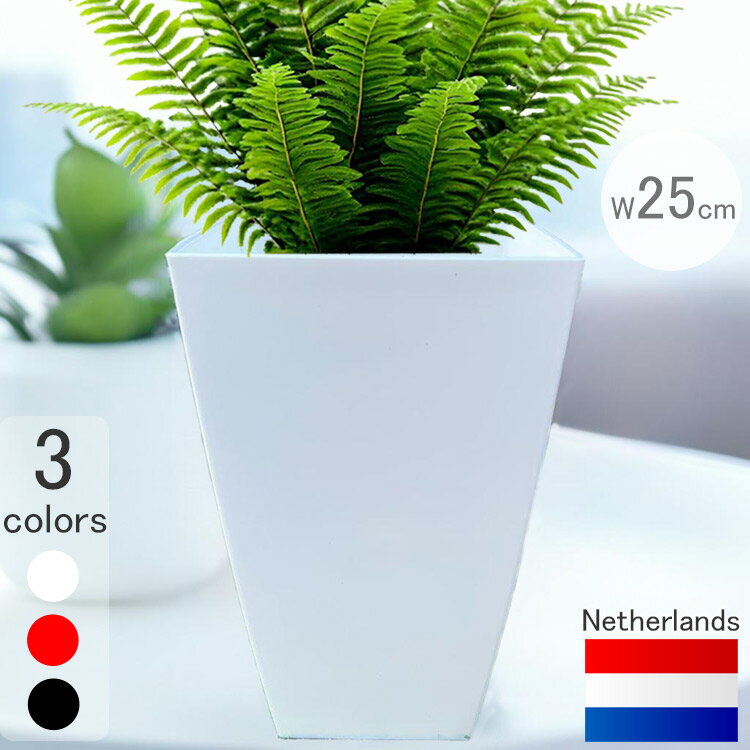 ǥץ󥿡 ߥ-E  ۥ磻 25cm H47cm 8  ڤ   ȭ...