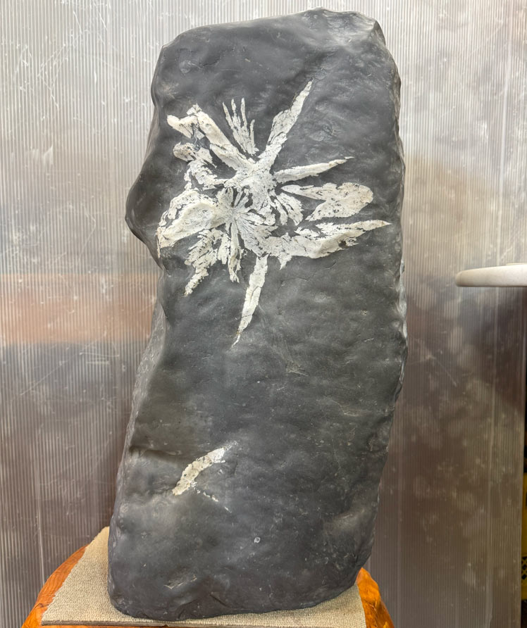 菊花石 【44】高さ約57cm 幅約27cm 飾り石 天然石 置物 鑑賞石 パワーストーン 盆石 景石 希少 水石 自然の芸術! 自然石 銘石