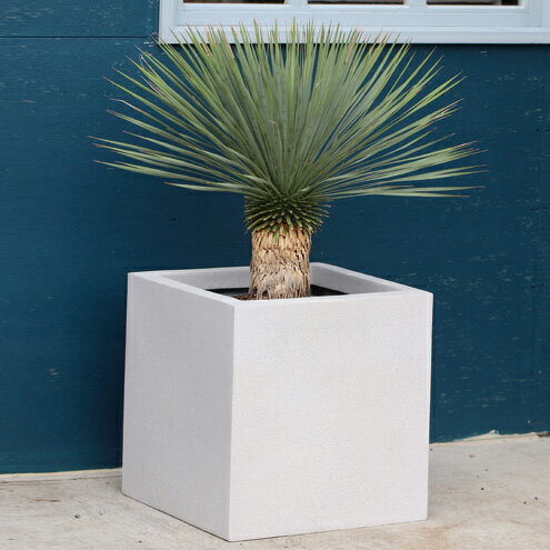 スクエア アーバン45 サンドストーン 高さ45cm 幅45cm GFRP製 10号鉢 おしゃれ 軽い 屋外 植木鉢 軽量かつ丈夫なスクエア型 プランター MF5945-045U マリンファイバープランター 送料無料 樹脂 観葉植物 鉢植え 四角形 繊維強化プラスチック