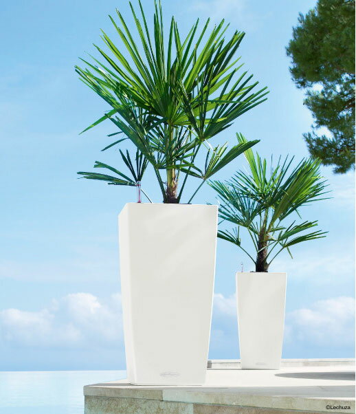 ドイツ製デザインプランター コラム 40 ホワイト （幅40cm 高さ75cm） 底面灌水セット付 送料無料 Column LE-8040 レチューザ Lechuza MADE IN GERMANY 観葉植物 プラスチック フラワーポット 鉢カバー スクエア 植木鉢 鉢植え 屋外 おしゃれ